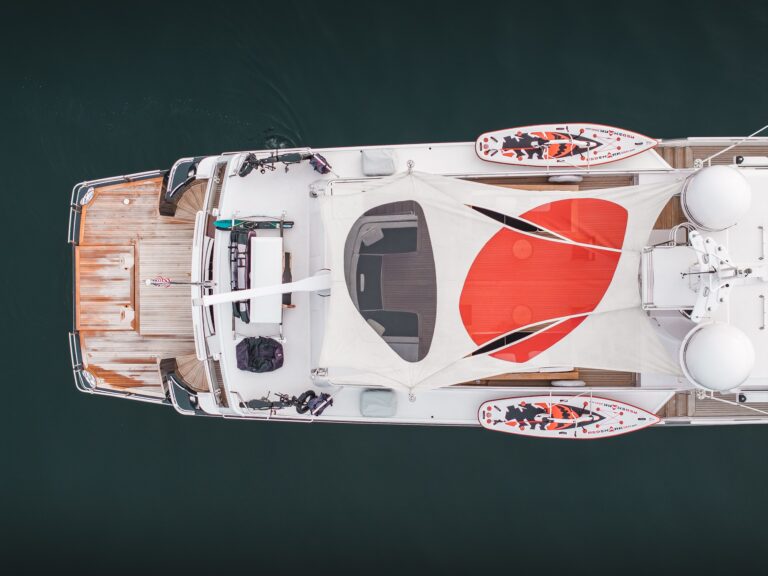 Custom Painted Bimini