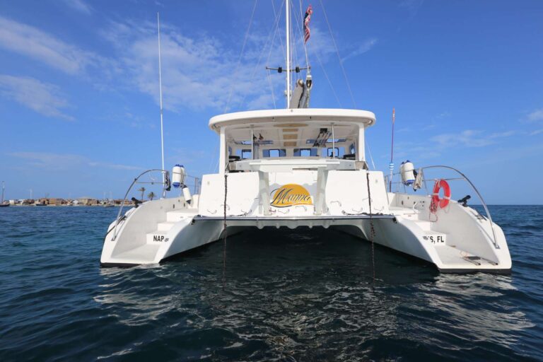 Sailing Catamaran MANNA Aft View