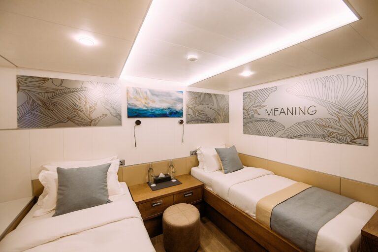 Twin suite