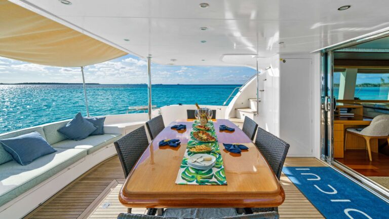Motor Catamaran INDIGO Main Deck