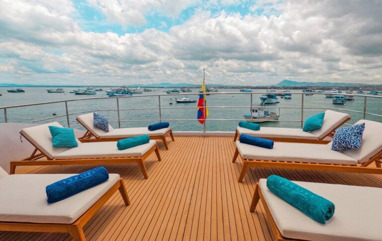 Sun Loungers
