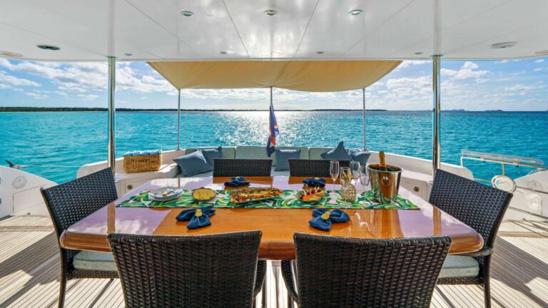 Motor Catamaran INDIGO Main Deck Aft