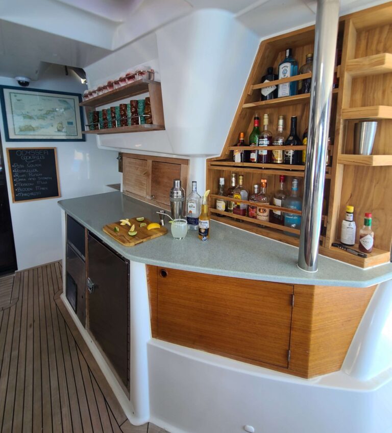 Sailing Catamaran ODYSSEA Wet Bar