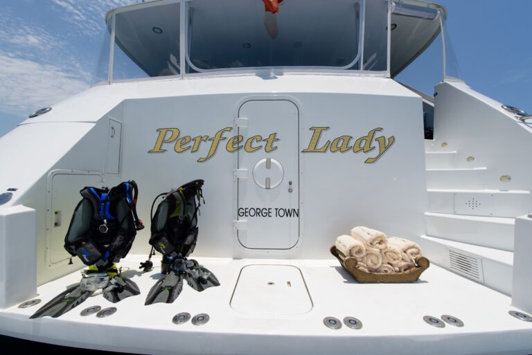 The 25m Yacht PERFECT LADY