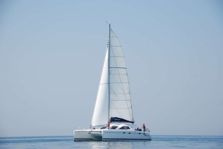 NEMO