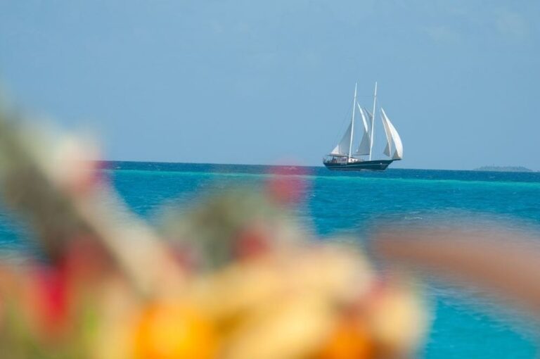 The 29m Yacht DREAM VOYAGER