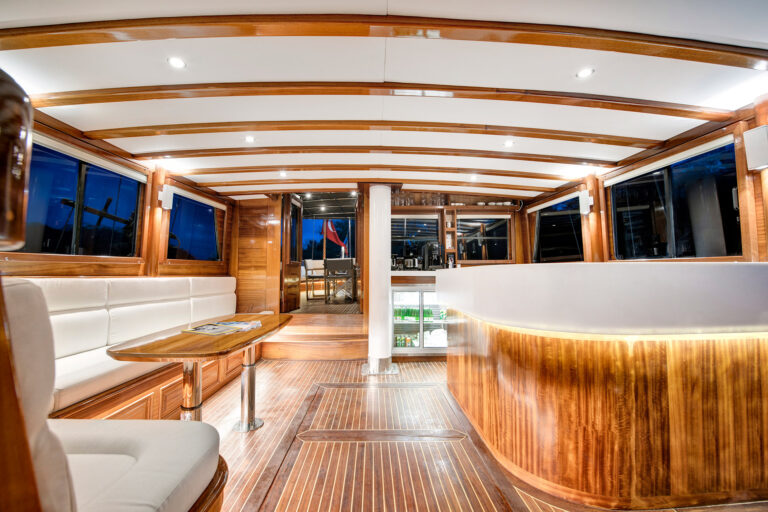 Main salon view aft