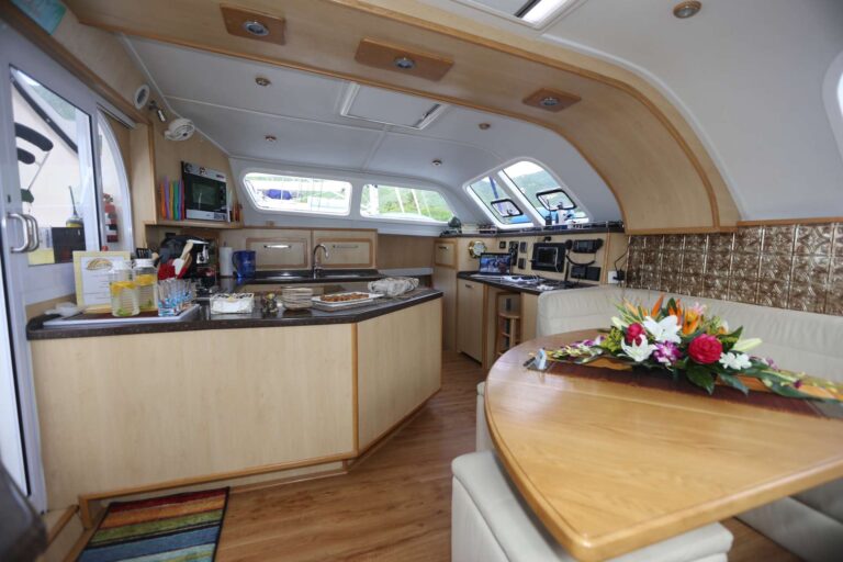 Sailing Catamaran MANNA Main Salon