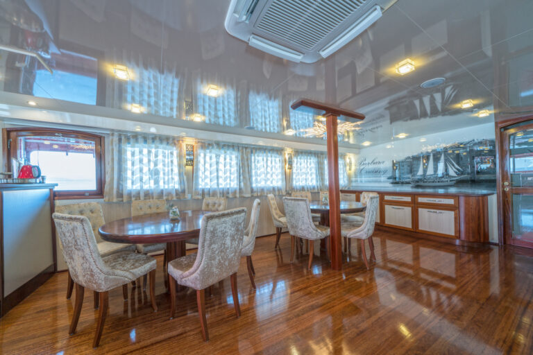 Main Salon Dining And Bar