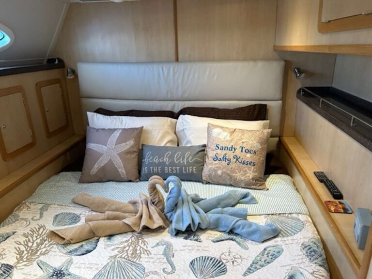 Sailing Catamaran MANNA Cabin