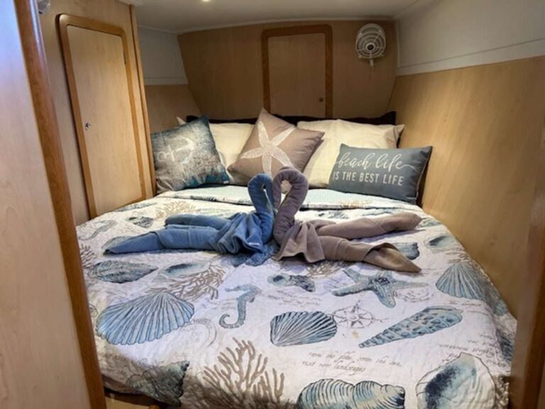 Sailing Catamaran MANNA Cabin