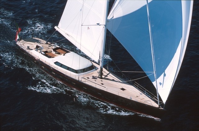 Maxi Dolphin