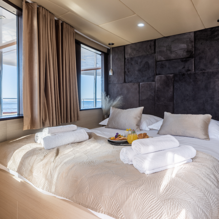 Guest Suite