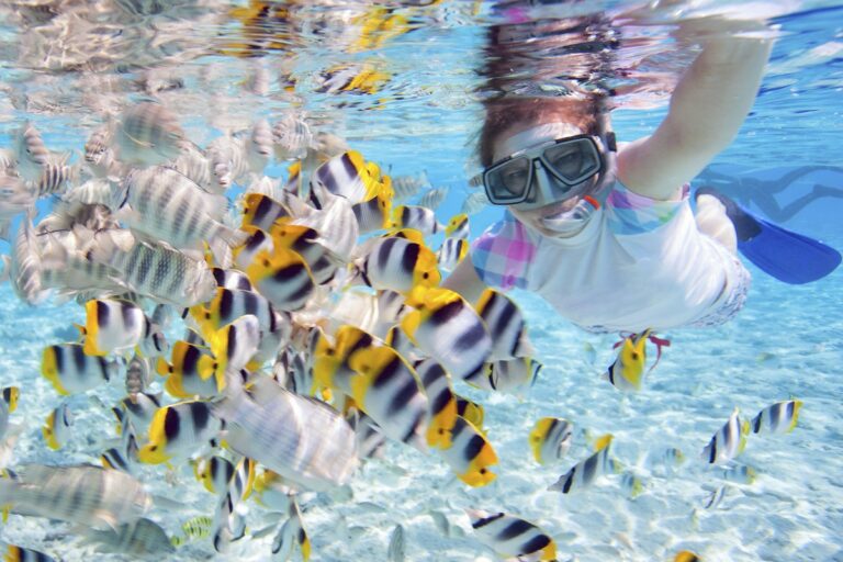 snorkelling
