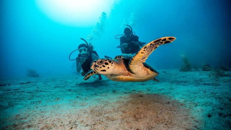 PADI Diving On Board