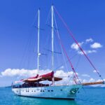 THE BLUE (ex ORIENT PEARL)