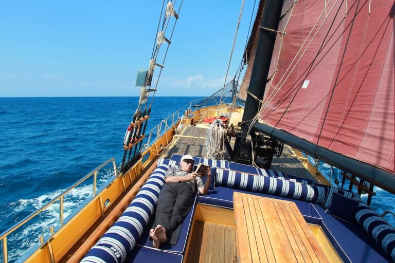 ADELAAR - Under sail view