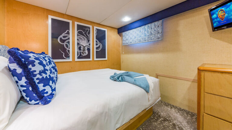 ALEXANDRA JANE Interior - Guest Cabin