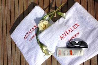 ANTALEX -  Details