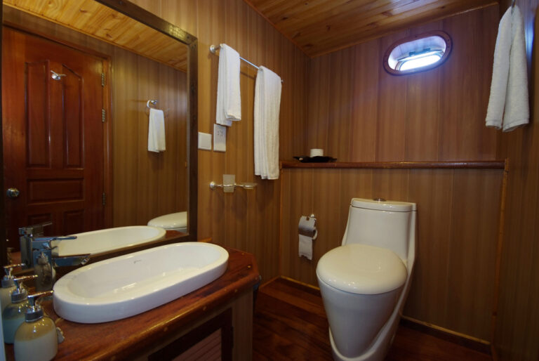 ARK ROYAL Bathroom