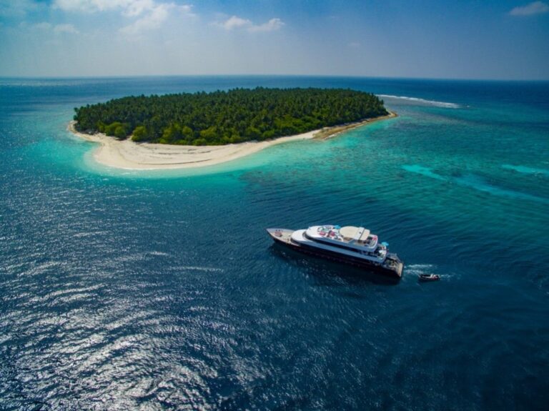 Aerial Shot