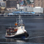 Alaska Pirate’s Pride