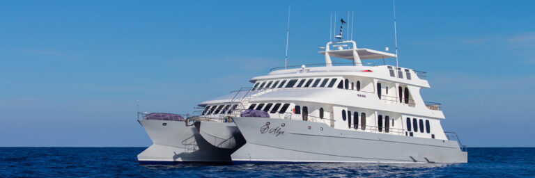 Alya - Catamaran Yacht For Charter In The Galapagos