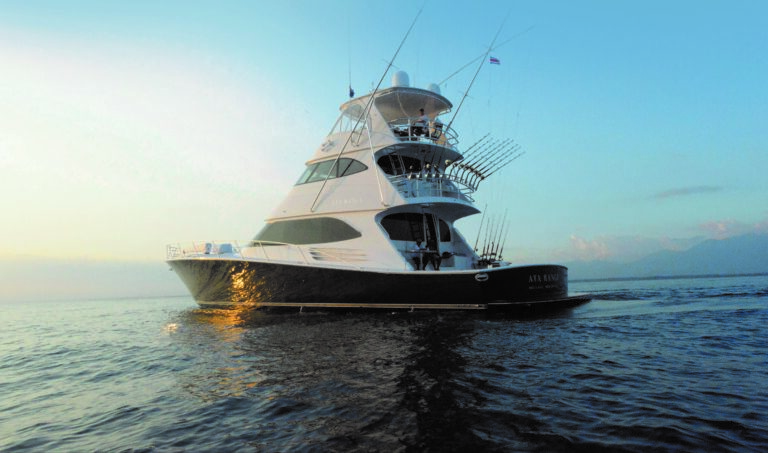 Viking Yachts