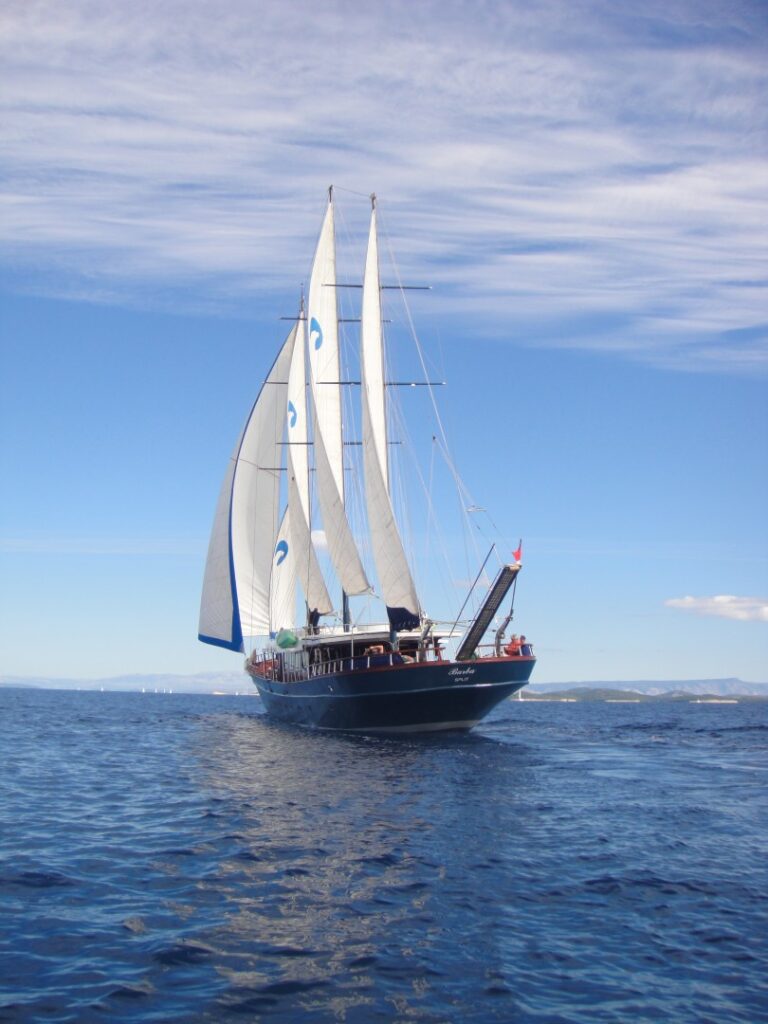 BARBA - Sailing