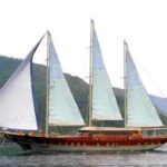 BARON II