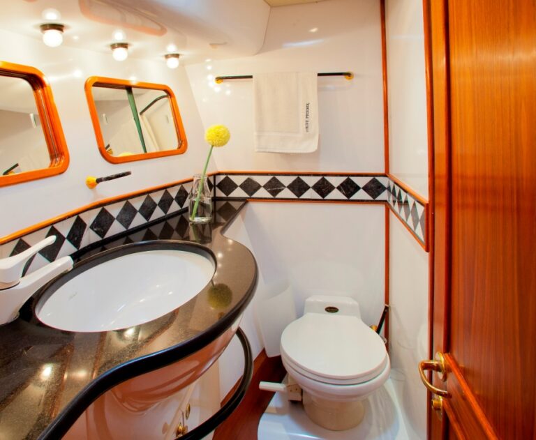 BLUE PHOENIX - Ensuite