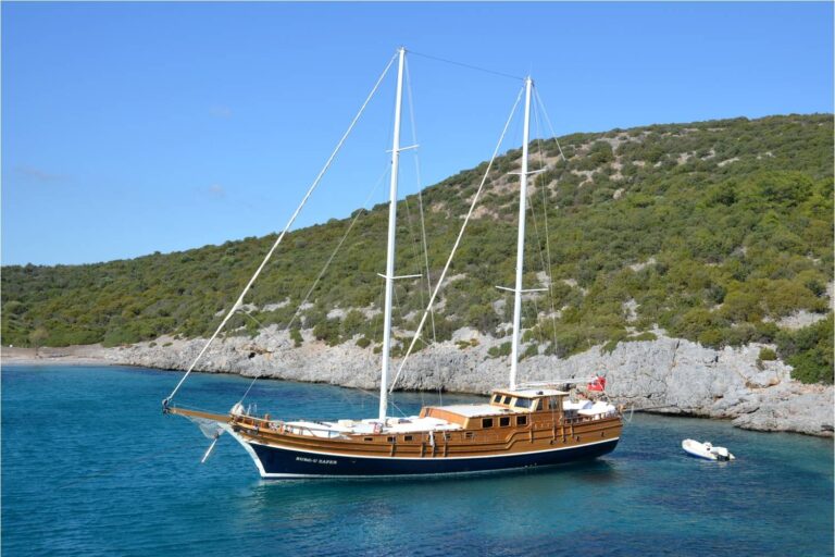 Burcu Zafer BURC-U ZAFER