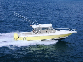 Banyan - 37 ft Intrepid (Additional Cost - Bahamas Only)
