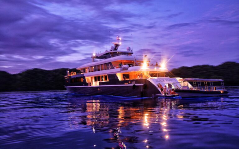 Black Pearl at night