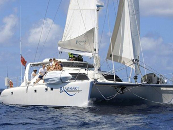 Braveheart - Sailing