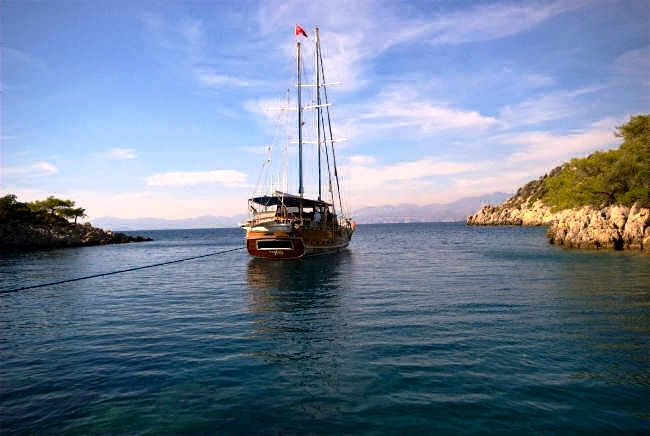 CEYLAN (5)