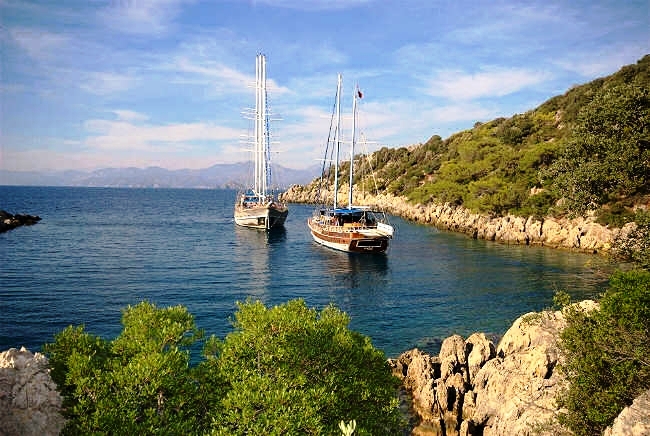 CEYLAN (7)
