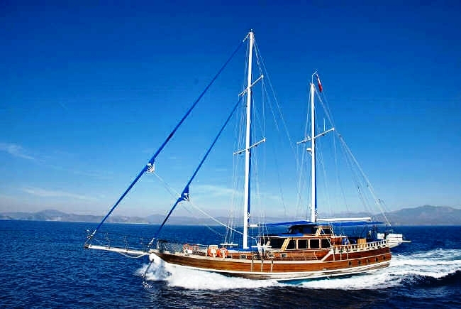 CEYLAN (8)