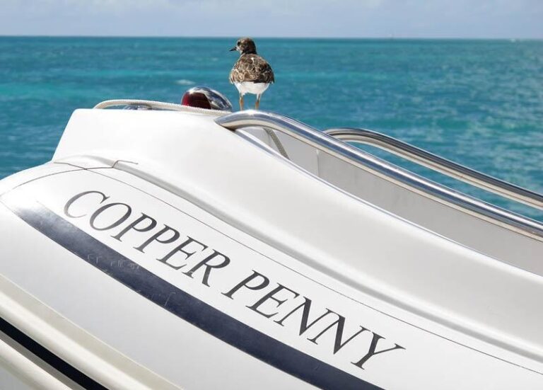 COPPER PENNY - Tender