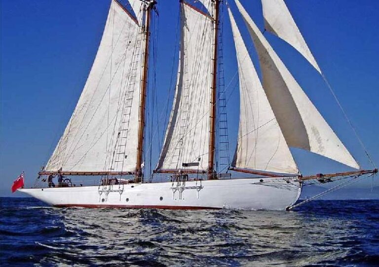 CORAL OF COWES -  Profile
