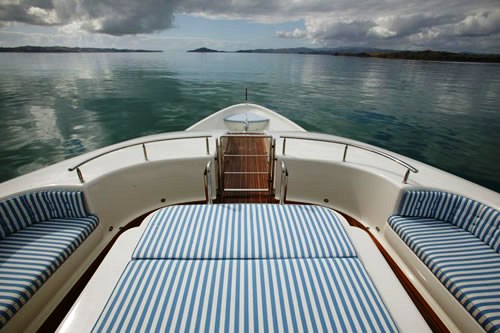 CRYSTAL LADY Sunpads Forward