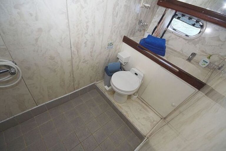 Cabin Toilet Shower