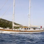 CANER IV