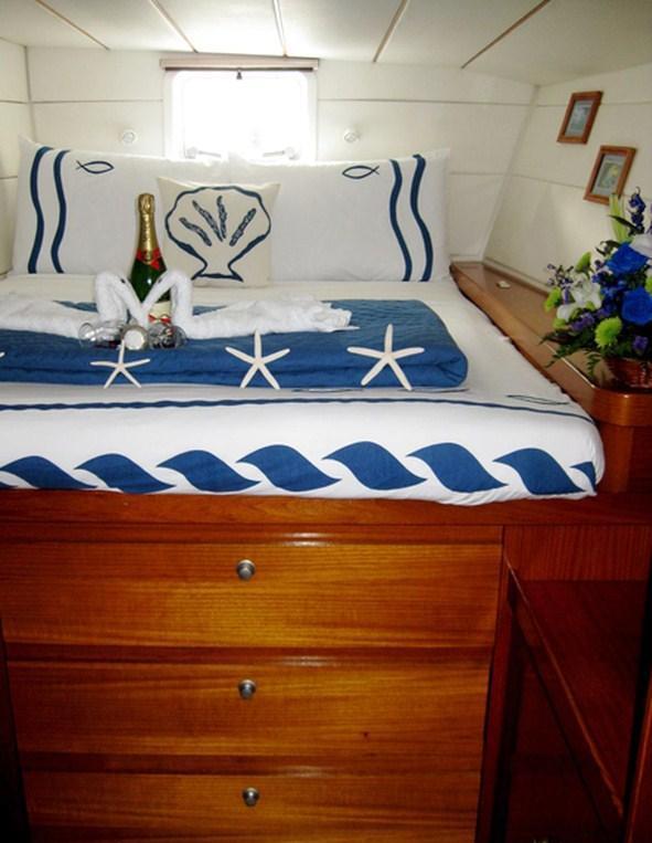 Cat AD ASTRA -  Guest Cabin 3