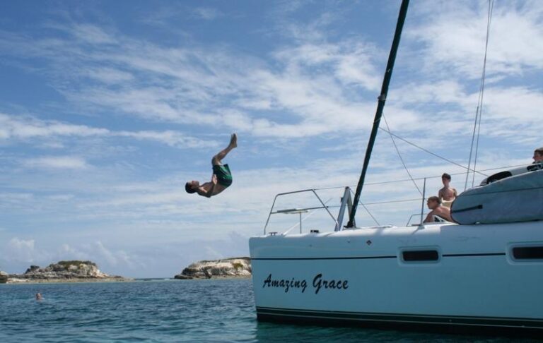 Cat AMAZING GRACE -  Jumping off Bow