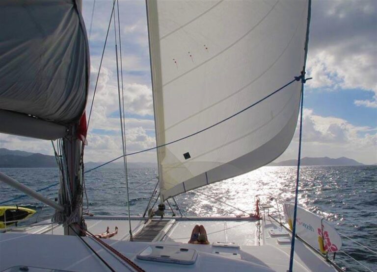 Cat FANTASY ISLAND - Relaxing on charter