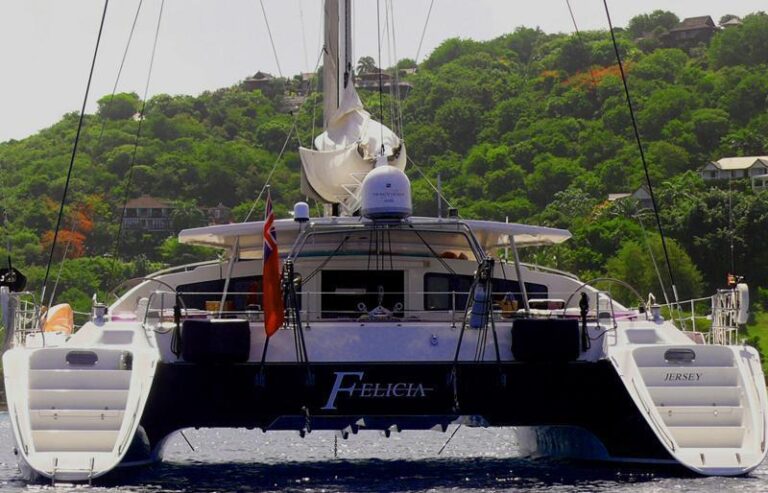 Cat FELICIA -  Aft View