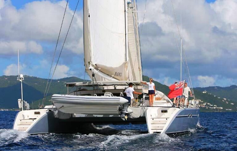 Cat MARMOT - Aft View