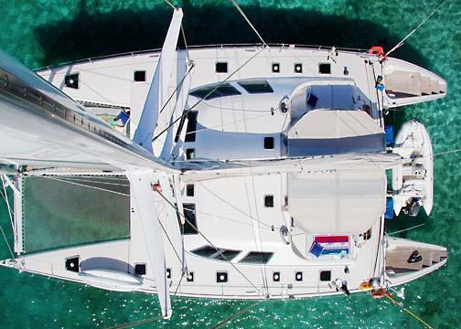 Cat MARMOT - From Above