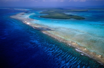 Catamaran DORIS - Belize from above